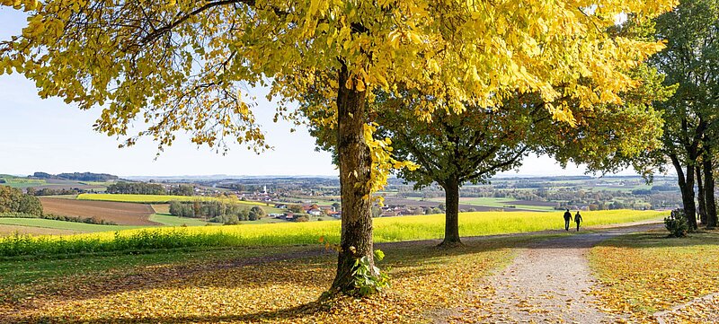 Wanderer im Kurpark Bad Griesbach
