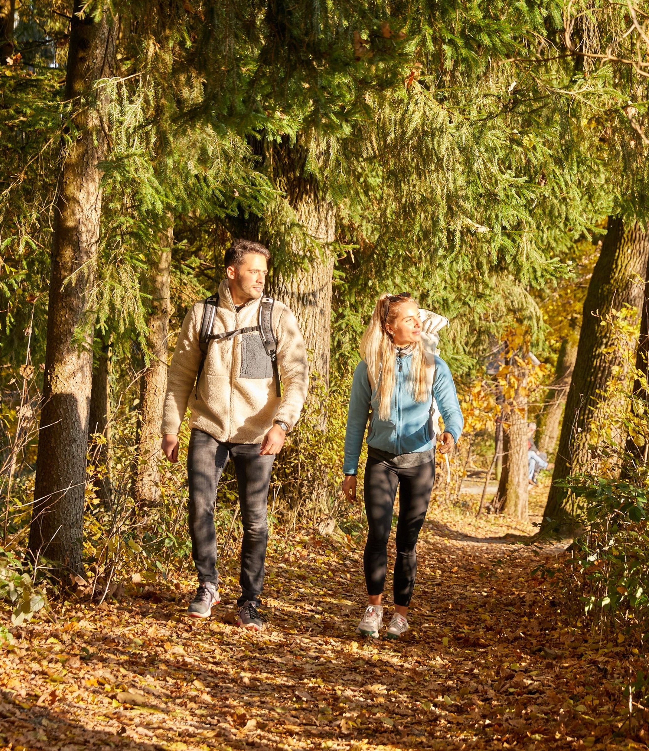 Herbstliche Wanderung durch Bad Griesbacher Waldgebiet